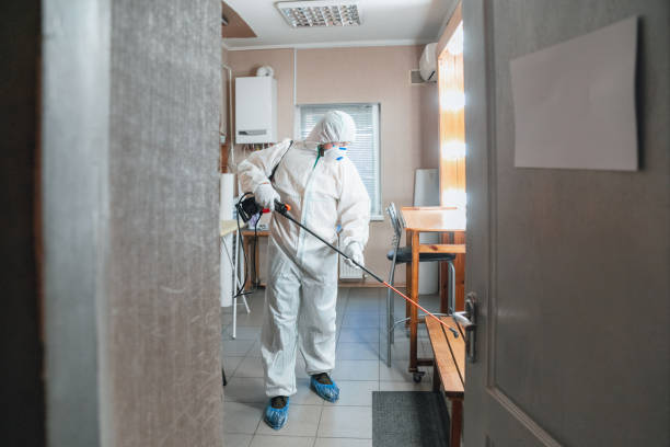 Mold Remediation for Vacation Homes in Paxtonia, PA